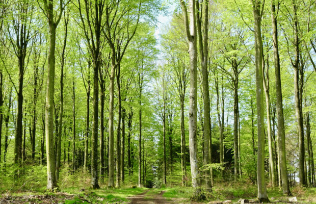 UD I NATUREN (21)