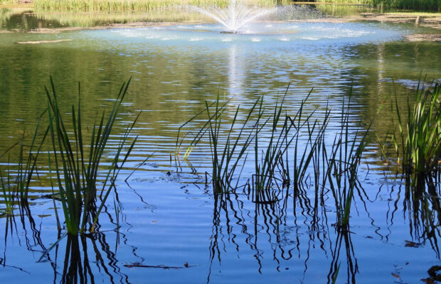 UD I NATUREN (40)
