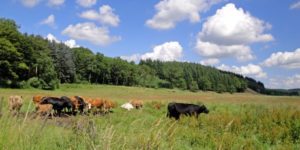Ugens natur billeder