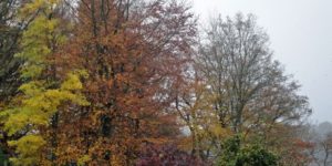 Ugens naturbilleder