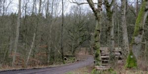 Ugens naturbilleder nr. 139