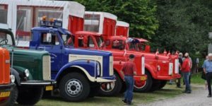 Ny organisation for ejere af Veteranlastbiler og –busser