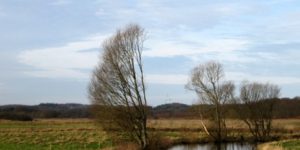 Ugens naturbilleder nr. 238.
