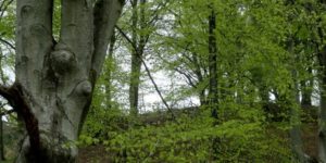 Ugens naturbilleder nr. 130