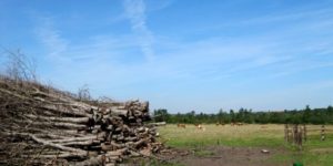Ugens naturbilleder nr. 171