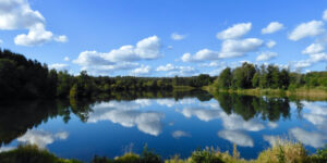 UD I NATUREN (94)