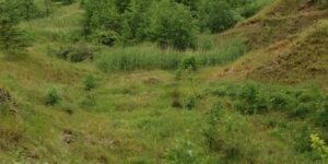 Ny afgørelse: Enestående naturperle i Favrskov/Randers fredes