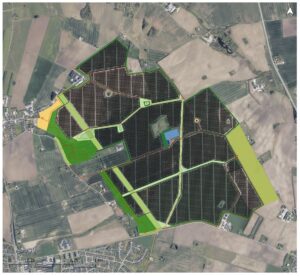 Solcelleprojekt har fået mere skov og færre solceller