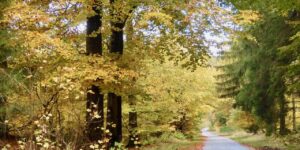 UGENS NATURBILLEDER nr. 147