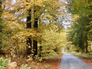 UGENS NATURBILLEDER nr. 147