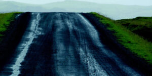 Ugens anmeldelse fra Favrskov Bibliotekerne