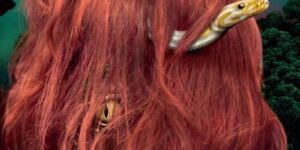 Ugens anmeldelse fra Favrskov Bibliotekerne