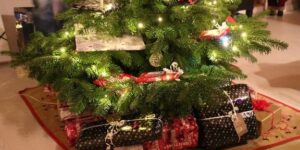 Ny trist rekord i Favrskov: 123 familier har søgt julehjælp