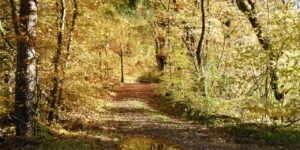 UGENS NATURBILLEDER nr. 148