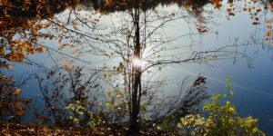 UGENS NATURBILLEDER nr. 149