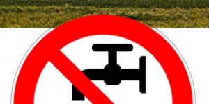 Beskyttelse af drikkevand: Favrskov Kommune ”hænger i bremsen” og er blevet anmeldt for lovbrud til Ankestyrelsen