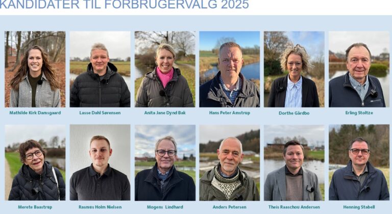 Skærmbillede 2025-12-03 170002