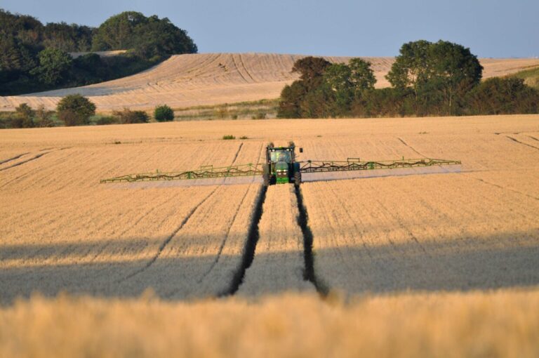 8b215ad3-e196-4763-b1ef-9aa474c91a6f