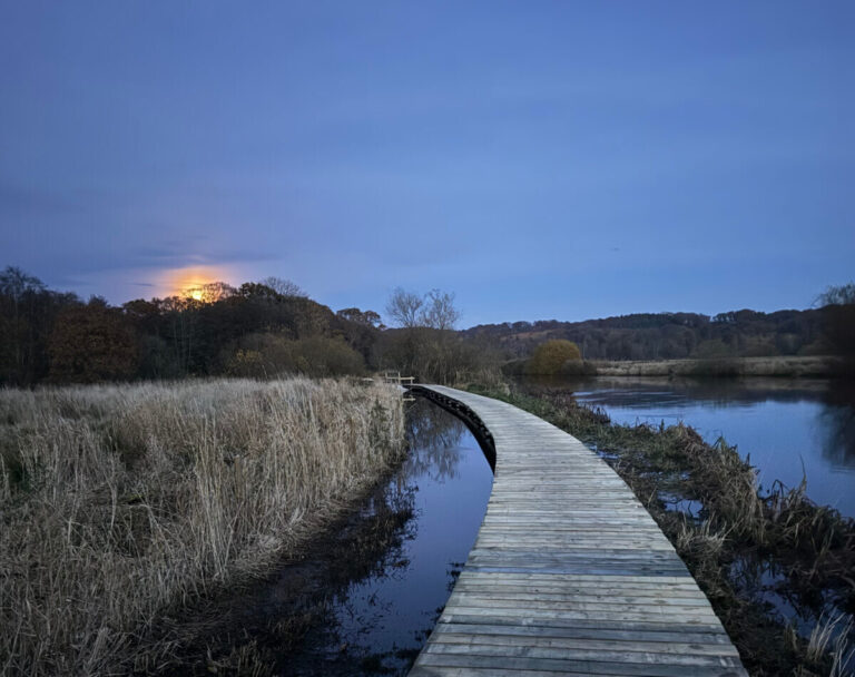 langaa-beskaret-1200x950