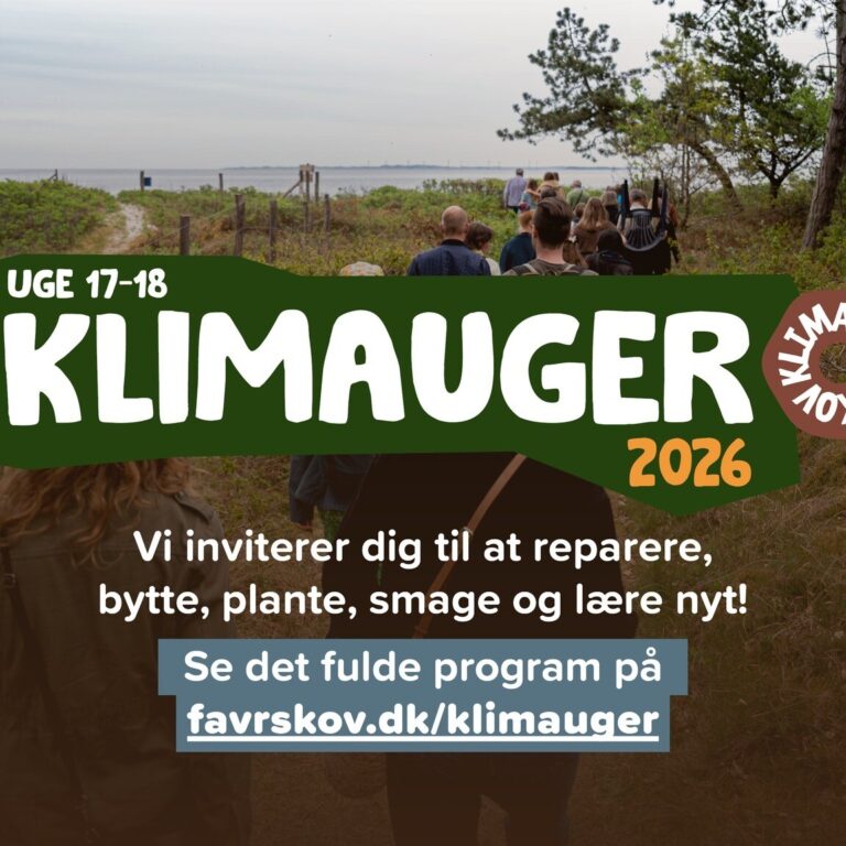 659784835_1381833217295876_783378780175350428_n