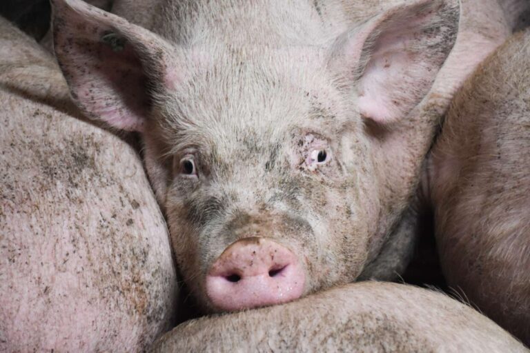 a349a507-aefd-429a-94c6-3d99ab5d5f73