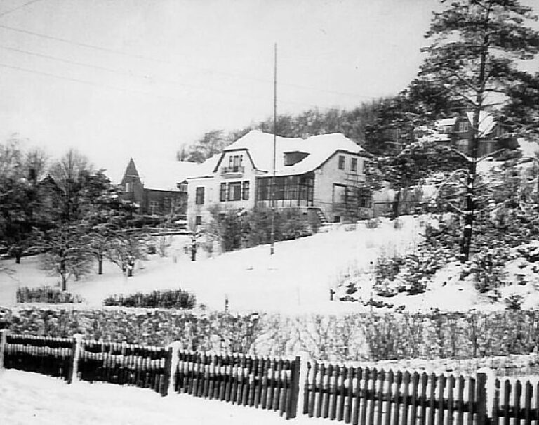 vintermotiv